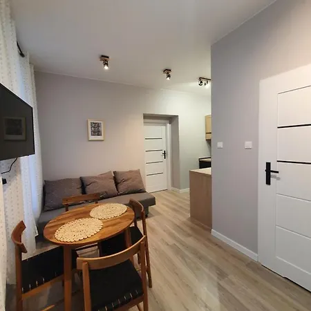 Apartment Piotrkowska 18 Apartament 17 *